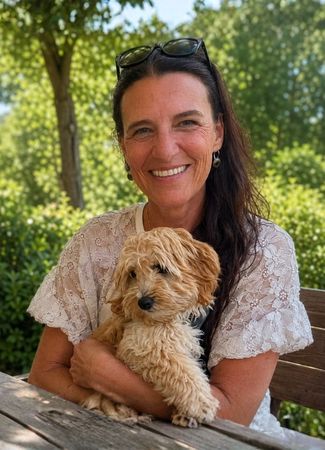 Gino der Maltipoo | Alltag mit kleinem Hund