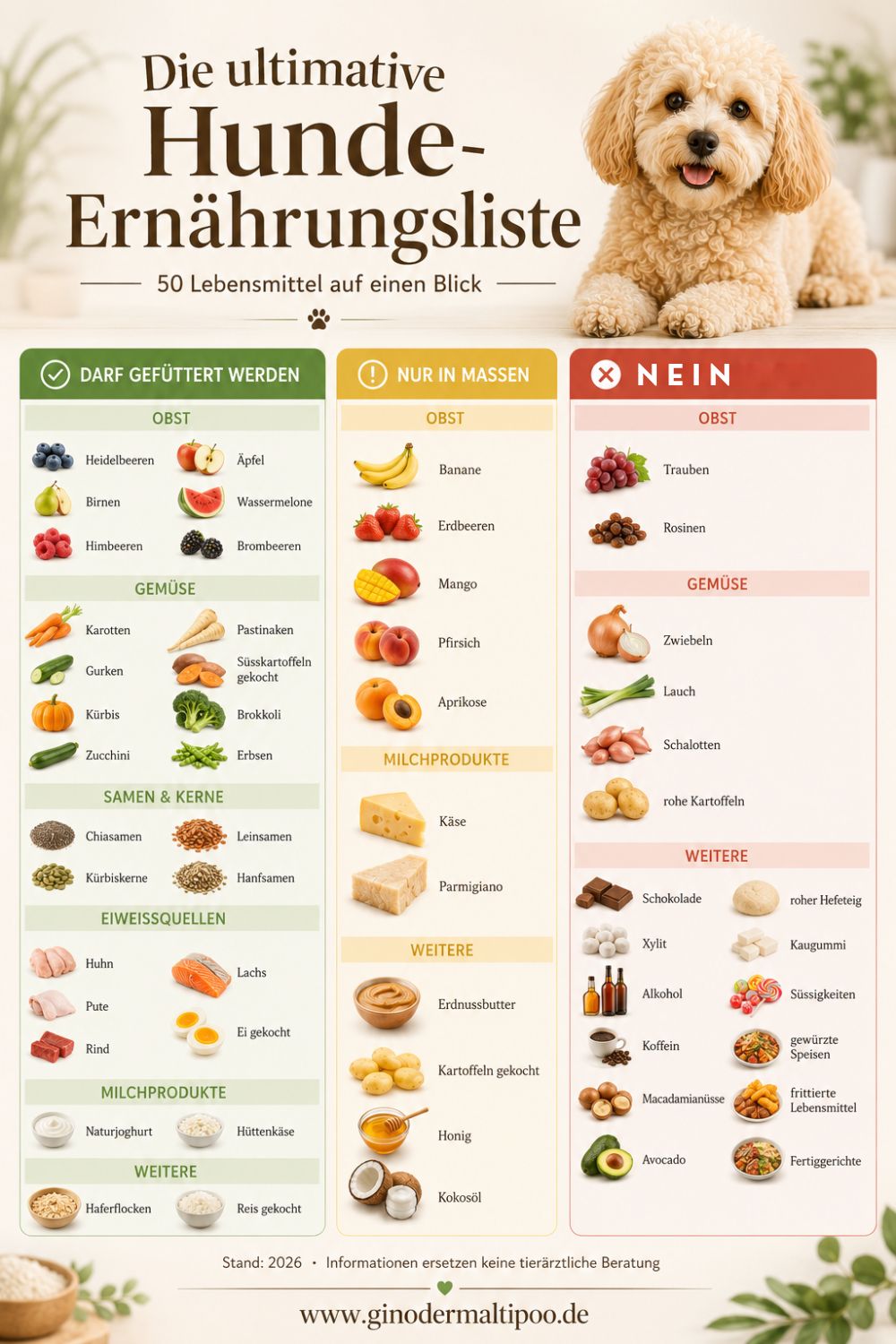 50 Lebensmittel für Hunde auf einen Blick